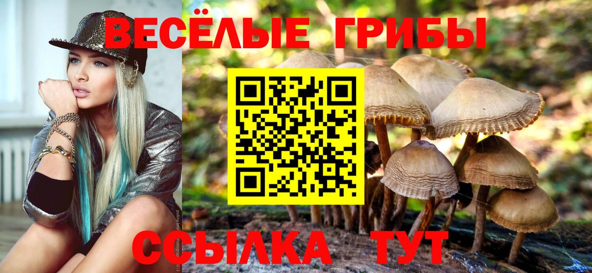 сколько стоит  Вход с VPN  Асбест  Псилоцибиновые грибы прущие грибы 